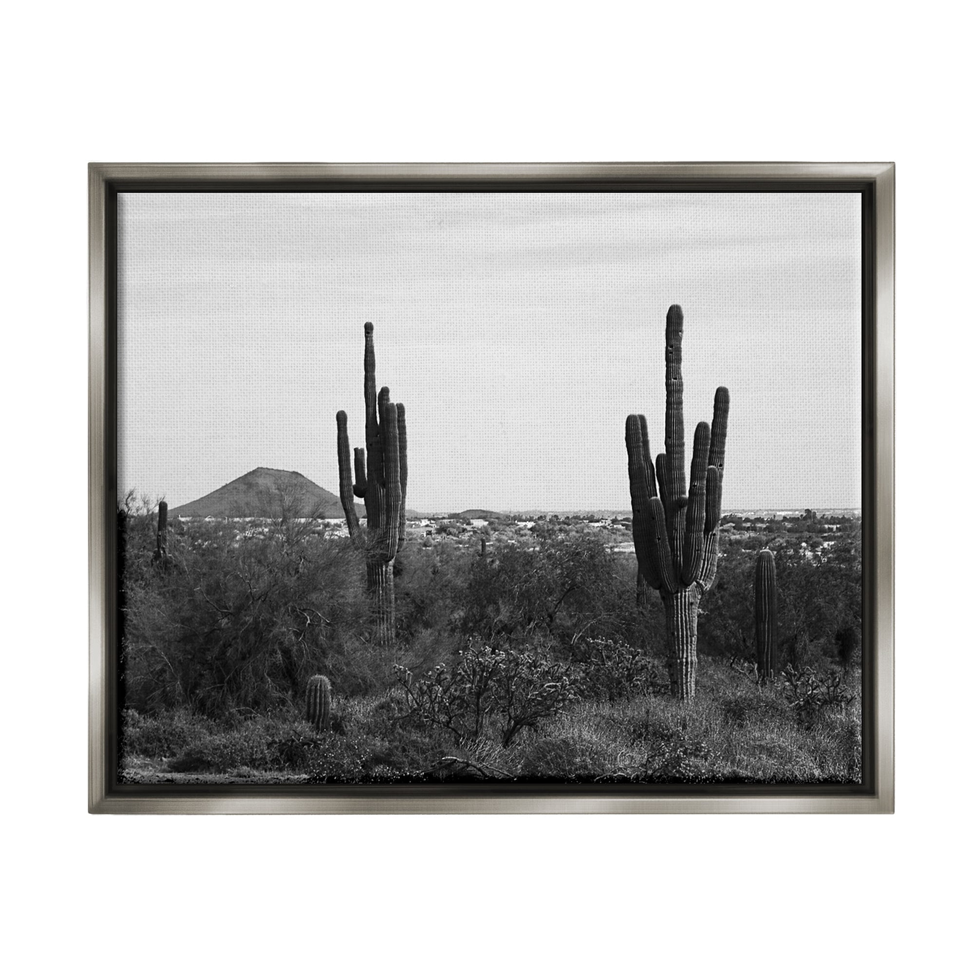 Stupell Industries Desert Cactus Arid Vegetation Monochrome Nature Photography Photograph Luster Gray Floating Framed Canvas Print Wall Art, Design by Graffitee Studios
