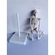 thumbnail image 5 of Mini esqueleto de juguete JAMW Modelo de esqueleto pequeño con calavera desmontable Sencillez, 5 of 5