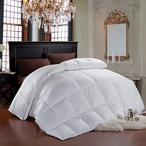 Cheer Collection Luxury All Season White Down Alternative Comforter