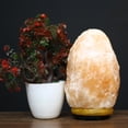 thumbnail image 3 of Natural Hand Carved Himalayan Pink Salt Lamp, 5-7lbs, 3 of 10