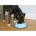 thumbnail image 3 of Iconic Pet Color Splash Stripe Non-Skid Pet Bowl, 32 Oz, Blue, 3 of 10