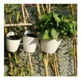 thumbnail image 6 of Lazy Flower Pot Water Hanging Plants Pot/Self Watering Planter,Succulent Plants and Small Flower pots Plants Pots Indoor Out Wall Hang Flowerpot Window Boxes (White), 6 of 8
