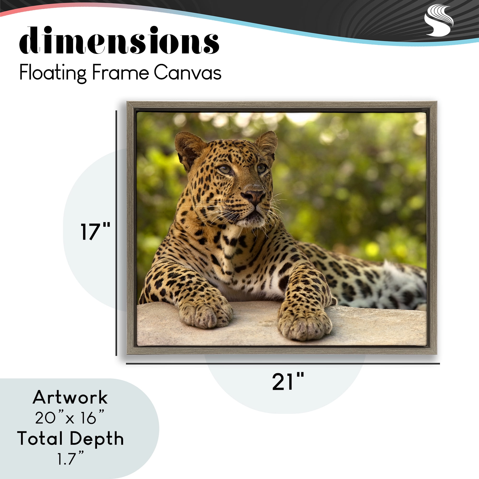 Leopard Gazing Relaxation Brown Framed Floater Canvas Wall Art, design by MJ Photography