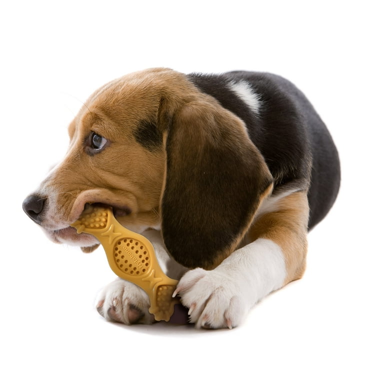 Puppy Treat Toys, Benepaw Dog Toy, Dog Chew Toys