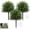 3 Pack, variant on 24'' Artificial Cedar Topiary Ball Trees with Ground Spike,Artificial Shrubs, UV Resistant Fake Plant Brush for Indoor Outdoor Front Porch Garden