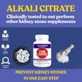thumbnail image 2 of Cápsulas de tapón de piedra, prevención de cálculos renales, protector de oxalato de calcio, suplemento de apoyo de citrato alcalino, desarrollado por urólogos para apoyar la salud renal, suministro d, 2 of 5