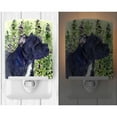 thumbnail image 2 of Caroline's Treasures SS8841CNL Cane Corso Ceramic Night Light, 6x4x3", multicolor, 2 of 2