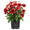 Red, variant on Expert Gardener 1PT Yellow Garden Mum Live Plant in Grower Pot, 6-Pack