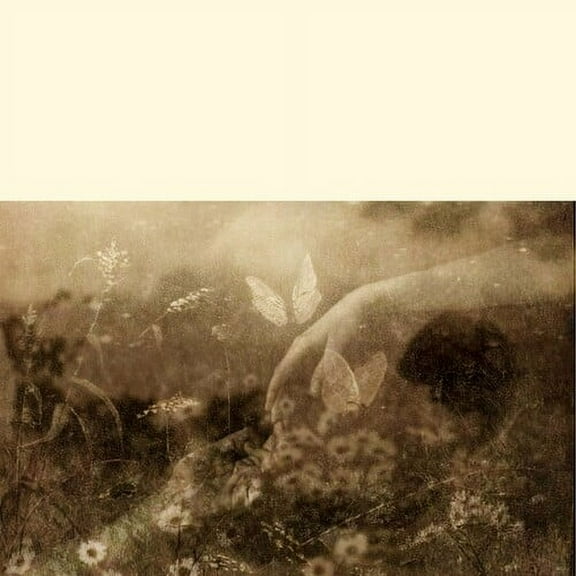 City of Dawn - Invincible Summer - Music & Performance - CD