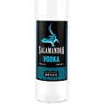 thumbnail image 2 of Caja de 12 Vodka Salamandra Fest - Pet 1 L Salamandra Fest - Pet, 2 of 3