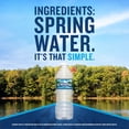 thumbnail image 3 of Ice Mountain Spring Water, 16.9 Fl Oz, 12-Pack Plastic Bottles, 3 of 11