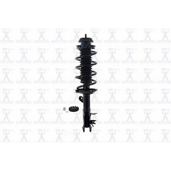 Suspension Strut and Coil Spring Assembly