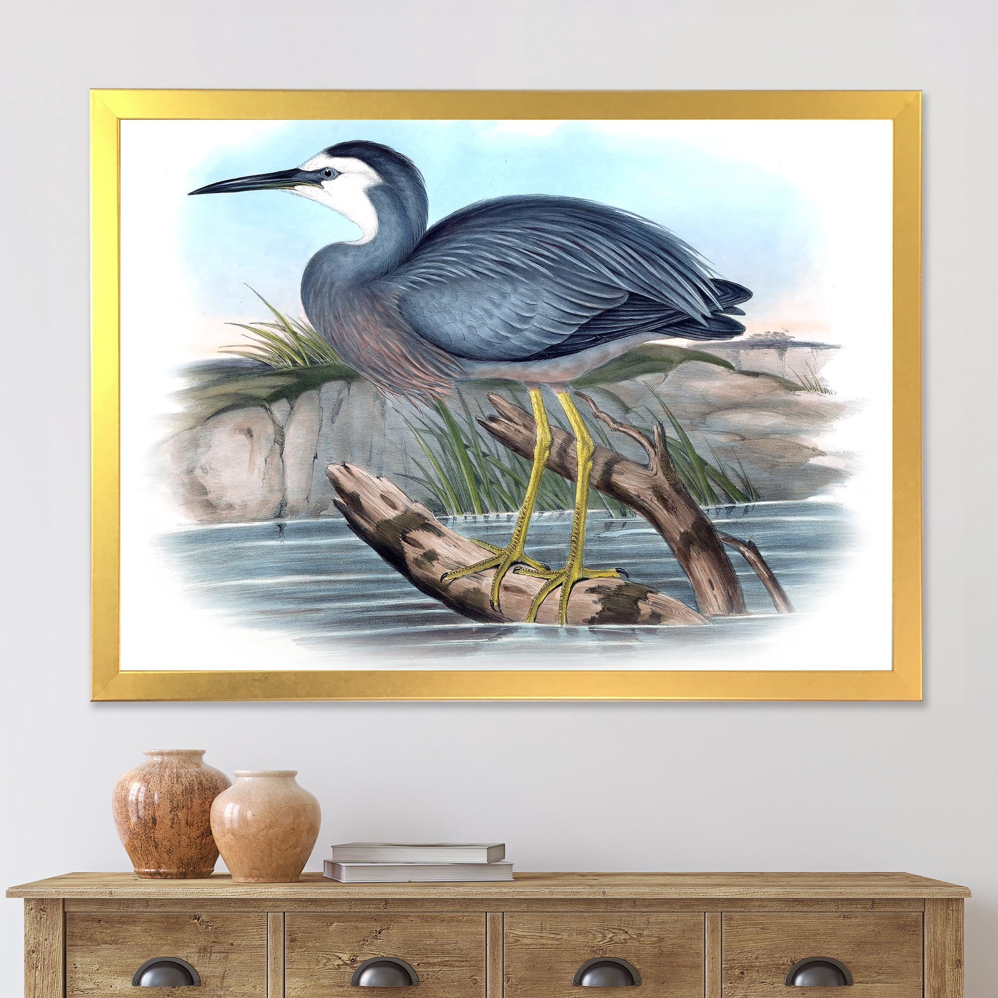 Designart 'Ancient Australian Birds II' Traditional Framed Art Print
