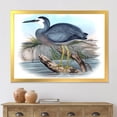thumbnail image 3 of Designart 'Ancient Australian Birds II' Traditional Framed Art Print, 3 of 4