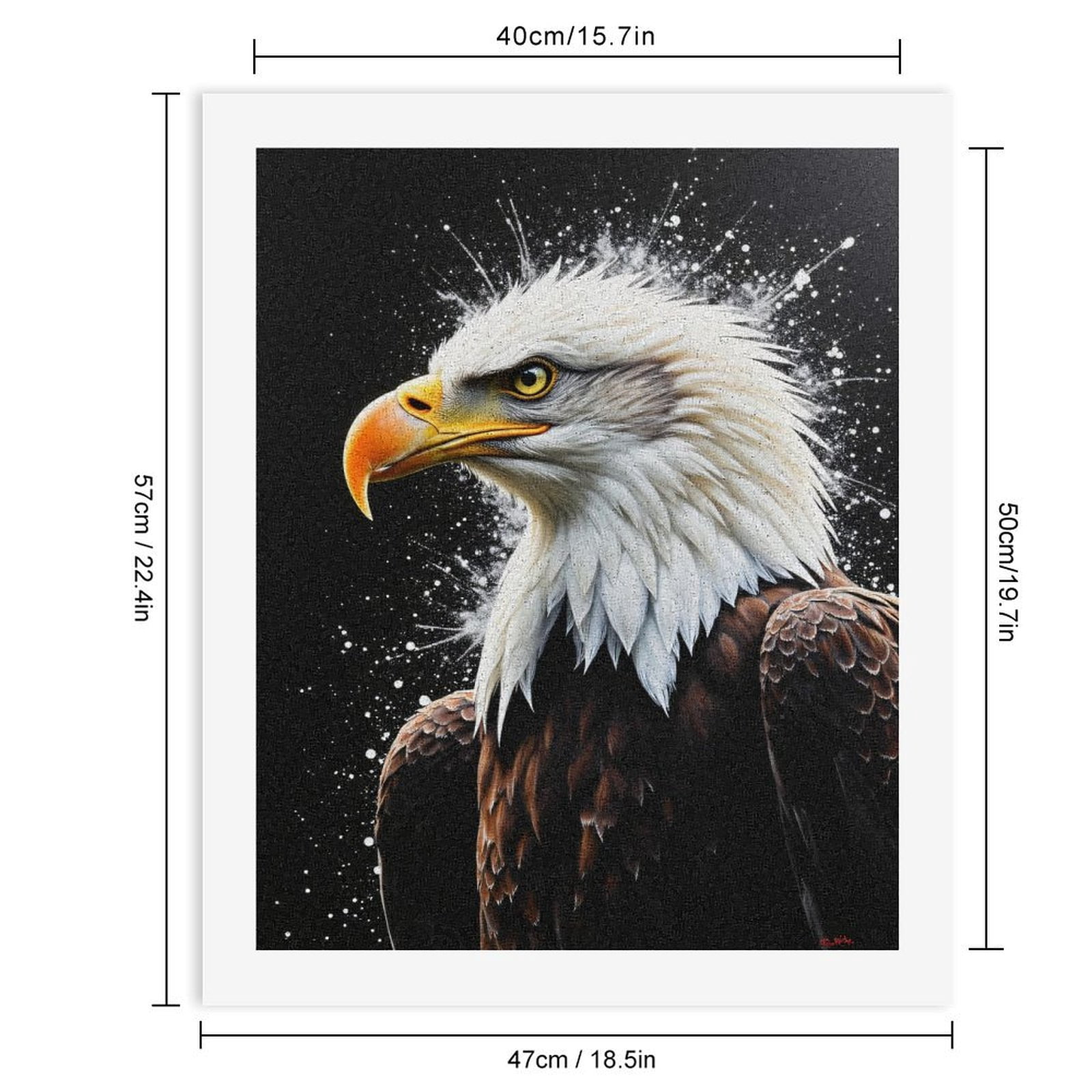 Paint By Numbers Kit for Adults Beginner - DIY Majestic Bird White Feathers Art Canvas Painting Kits for Adults, Frameless Paint By Number for Adults for Home Wall Decor 16x20 Inch