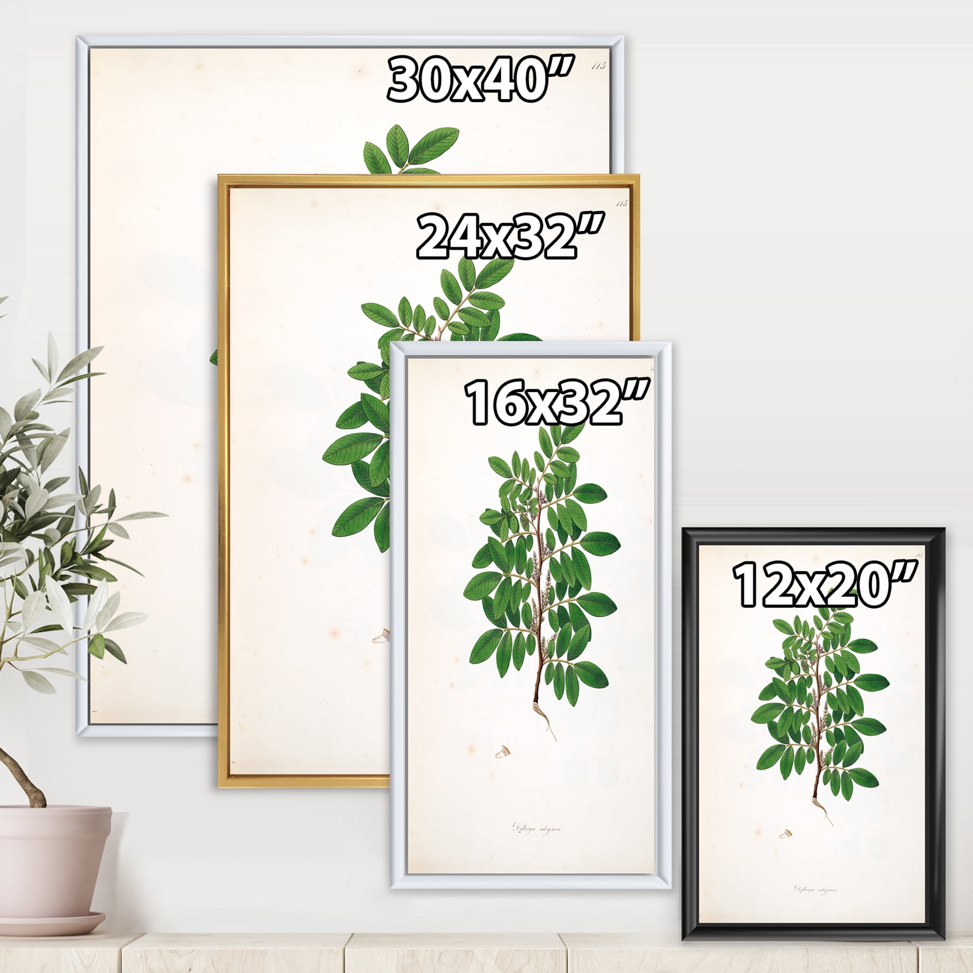 Designart 'Ancient Plant Life XX' Farmhouse Framed Canvas Wall Art Print