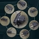 thumbnail image 5 of U94 Kenwood 2 Pin Push To Talk Ptt Connector For Airsoft Walkie Talkie Z113-ken, 5 of 5