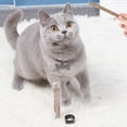 thumbnail image 3 of Cat Molar Stick Natural 4PCS Silvervine Cat Chew Toy Kitten Catnip Stick for Cat, 3 of 10