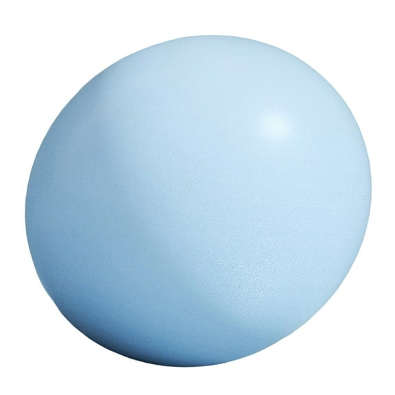 lanema Yoga Pilates Fitness Ball 25cm Diameter Core Training Ball For Core Strength And Balance Improvement Home Gym Office Use