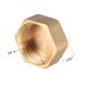 thumbnail image 2 of Tapa de accesorio de tubería Uxcell, conector de manguera de rosca hembra hexagonal de latón, para boquillas de tuberías de agua de jardín y exteriores 4Pcs G3/4, 2 of 4