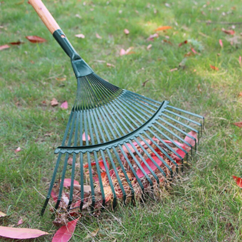 Rake For Carpets Grass Pavers Painted Without Handle 34 Teeth 