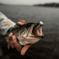 thumbnail image 6 of 6th Sense – Masterclass Strobe Shaker Forward-Facing Sonar Minnow – Realistic Soft Plastic Bait with Bill-Driven Action – 3.3", 4.0", 5.0" – Finesse Fishing Lure, 6 of 7
