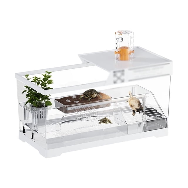 Small turtle tank with sun drying platform climbing platform dedicated feeding