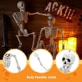 thumbnail image 6 of 2 PCS 24” Halloween Skeleton Decor, 2 FT Full Body Stayable Posable Skeletons for Halloween, White Human Plastic Bones with Movable Joints for Spooky Indoor Outdoor Decoration, Graveyard Prop, 6 of 8