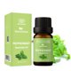 thumbnail image 1 of Aceite Esencial de Menta MenstrEaze 10 ml Natural y Puro, 1 of 9
