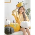 thumbnail image 3 of Cute Soft Pumpkin Pillow Pumpkin Plush Toy Sofa Cushion Bedroom Decoration Banmo, 3 of 5