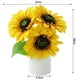 thumbnail image 2 of Luz de noche girasol con suave resplandor LED para dormitorio, habitación y decoración del hogar, 2 of 9
