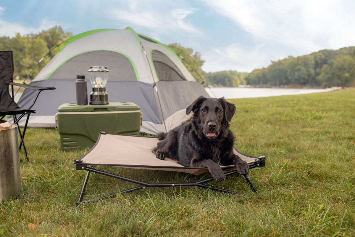Coolaroo Elevated Pet Bed On-The-Go with HeatShield Cooling Fabric, Great Sandy Beige, Large