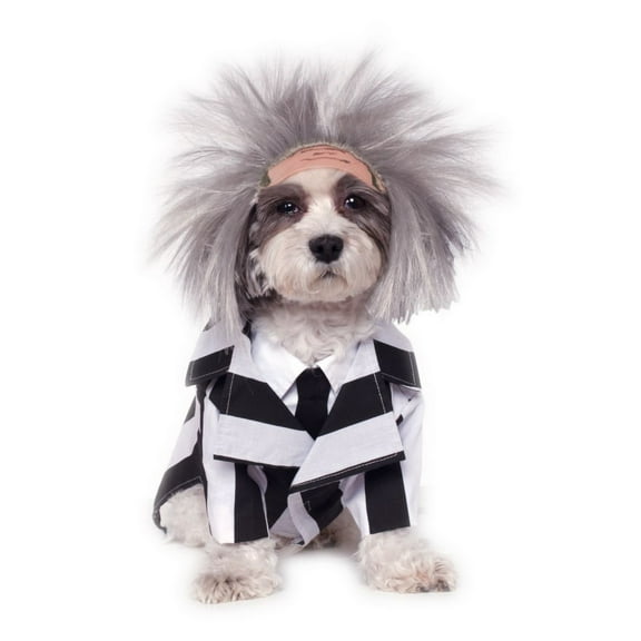 Beetlejuice Pet Costume for Dog or Cat