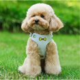 thumbnail image 2 of HAHDAXIA Dog Harness Small Breed?Puppy Harness and Leash Set Adjustable Reflective Step in Harness for Dogs Soft Mesh Comfort Fit No Pull,Dog Vest Harness for Small Dog (Small,Blue), 2 of 7