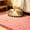 Peach Pink, variant on MK Gdledy Ultra Absorbent Grippy Doormat for Muddy Dog Paws, Machine Washable Soakstopper Rugs Cleaner Floors, A warm bed for pets, Indoor Entrance Door Rug Pet Rug