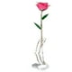 thumbnail image 5 of Rosa Chapada En Oro, Regalos De Flores De Rosas Reales Bañadas En Oro De 24 Quilates, Tallo Largo De 11 A 12 Pulgadas, , única, Romántica única Para Esposa/mamá/novia, 5 of 7