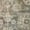 Taupe, variant on Addison Rugs Dream Shag Premium Machine Washable Transitional Floral Aloe Rectangle Rug, 10' x 14'