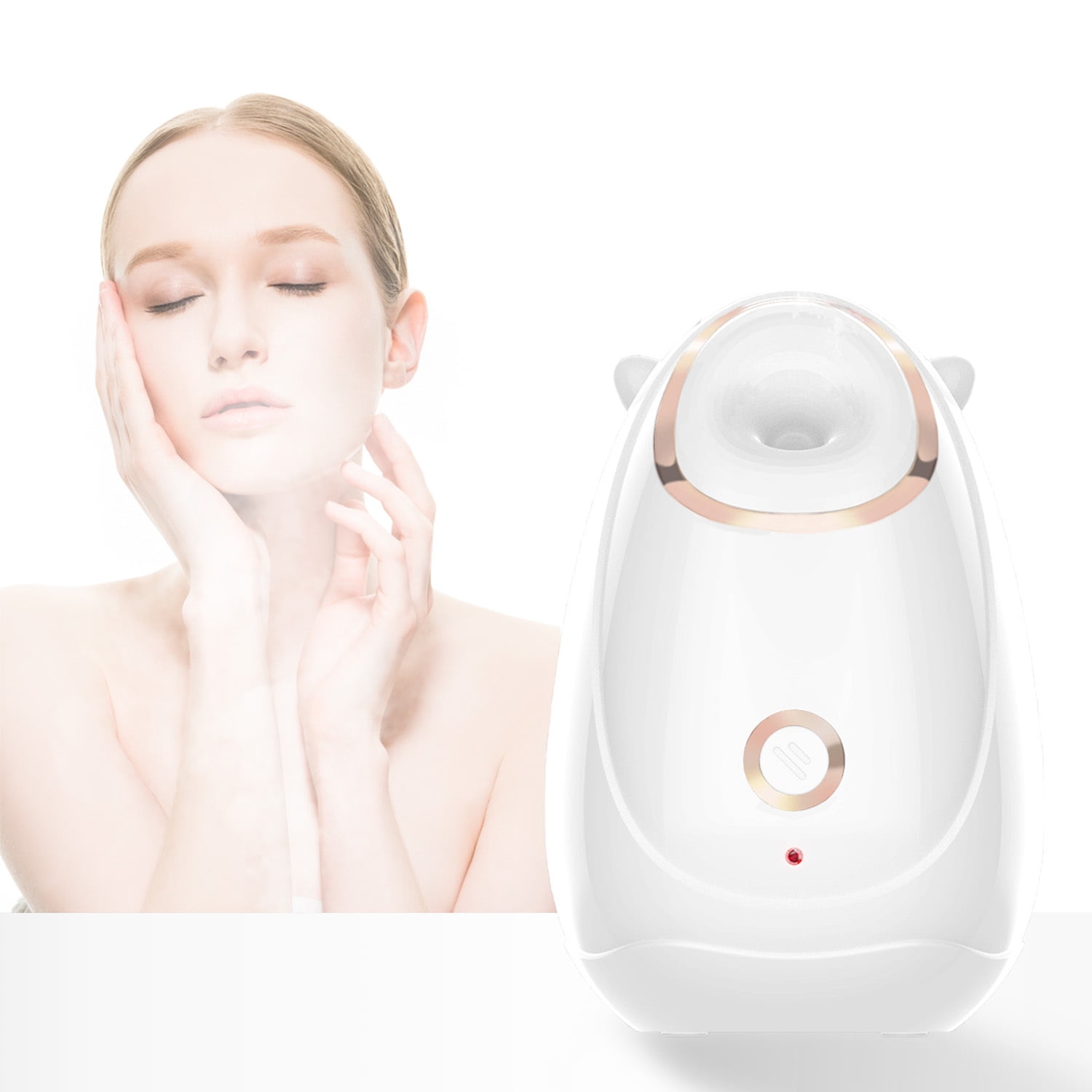 Luniquz Face Air Steamer, Portable Nano Lonic Mist Face Steamer, 160mL