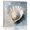 White Light Beige Gray, variant on Wall Art Prints, Abstract Seashells Framed Canvas Prints for Bedroom Living Room Bathroom Office, Coastal Nautical Modern Oil Painting Gallery Wrap Wall Art Poster for Gifts Home Decor 16"x16"