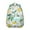 Greenish-blue, variant on Watermelon Themed Study Essential Backpack – Perfect Gift for Academic Success, Ergonomic & Supportive