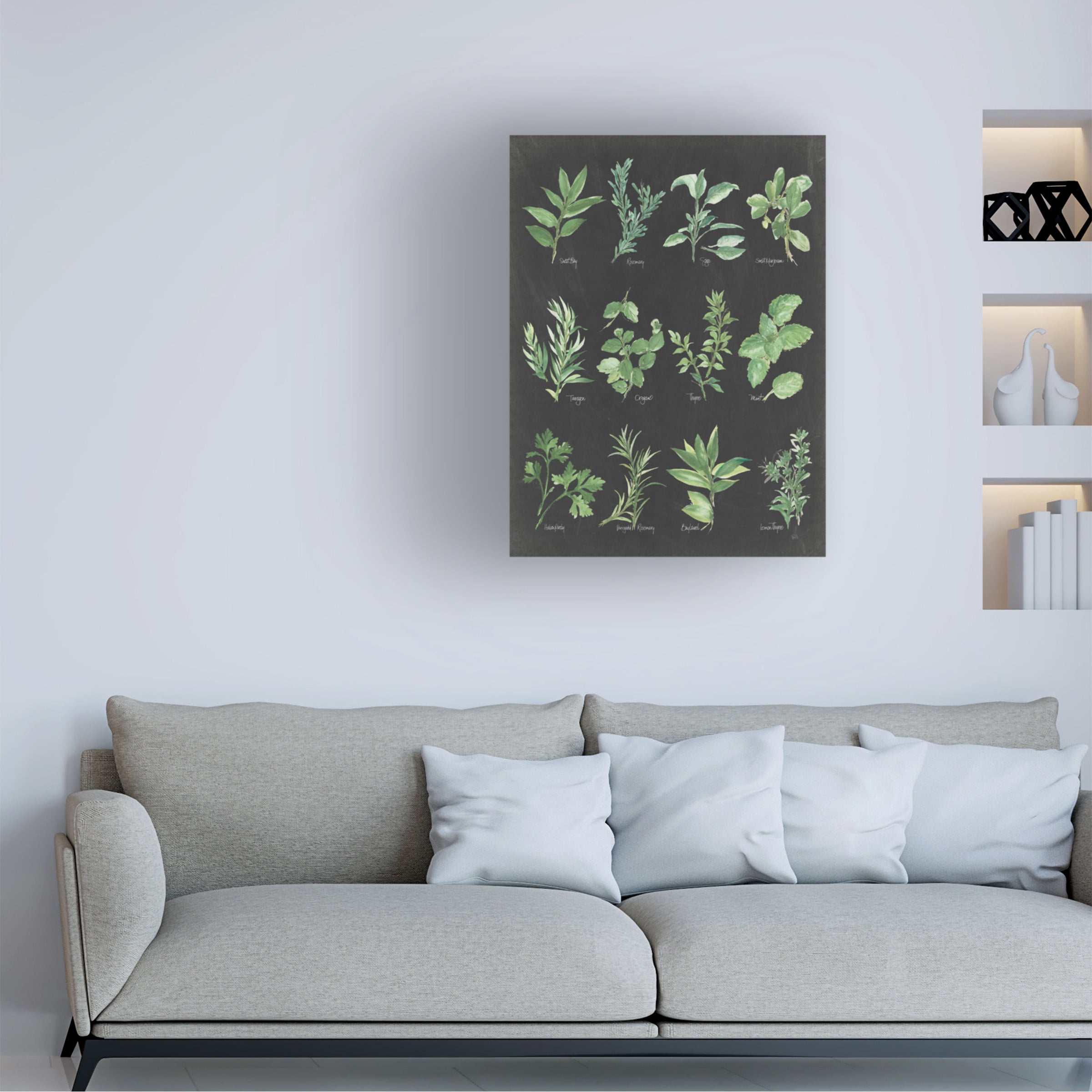 Trademark Fine Art 'Herb Chart on Black' Canvas Art by Chris Paschke