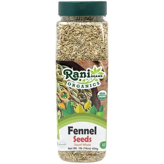 Rani Organic Fennel Seeds (Saunf Sabut) Whole Spice 16oz (1lb) 454g PET Jar ~ All Natural | Vegan | Gluten Friendly | NON-GMO | Kosher | Indian Origin | USDA Certified Organic