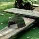 thumbnail image 4 of Plataforma de descanso para tortugas pequeñas, rampa de escalada, plataforma de escalada, refugio de resina para tortugas, para acuarios, tortugas, reptiles, decoraciones de tanques, 4 of 7