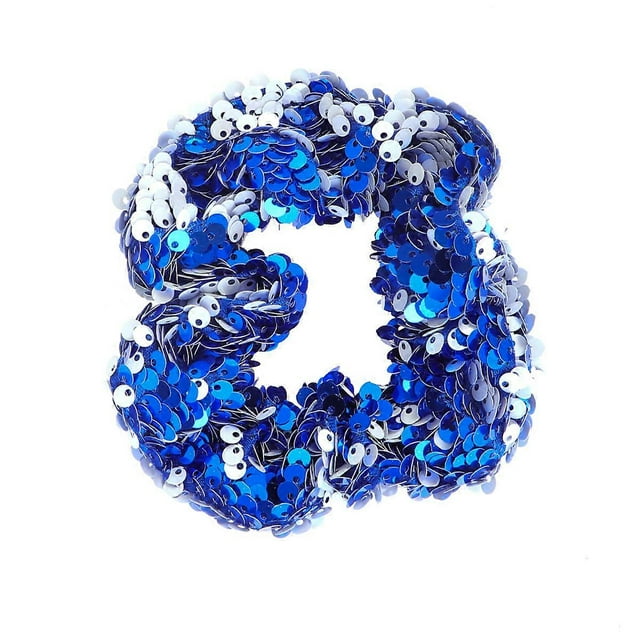 Sequins Hair Rope Exquisite Hair Bands Ties Ponytail Holders for Kids Women Girls (Blue)