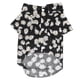 thumbnail image 1 of Camisa para perro con estampado de margaritas, suave, transpirable, flexible, para perros pequeños y gatos, 1 of 8