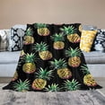 thumbnail image 2 of Nawypu  Pineapple Blanket Lightweight Cozy Warm Print Throw Blanket Adult for Crib Bed Couch Chair Living Room Travel Outdoor, 2 of 6