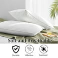 thumbnail image 4 of Highland Feather  600 Loft White Goose Down Pillow 289 TC Cotton Casing Medium - Standard - Single, 4 of 5
