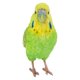 thumbnail image 5 of Figura Hi-Line Budgerigar con pie de hierro verde, poliresina, 5 of 8