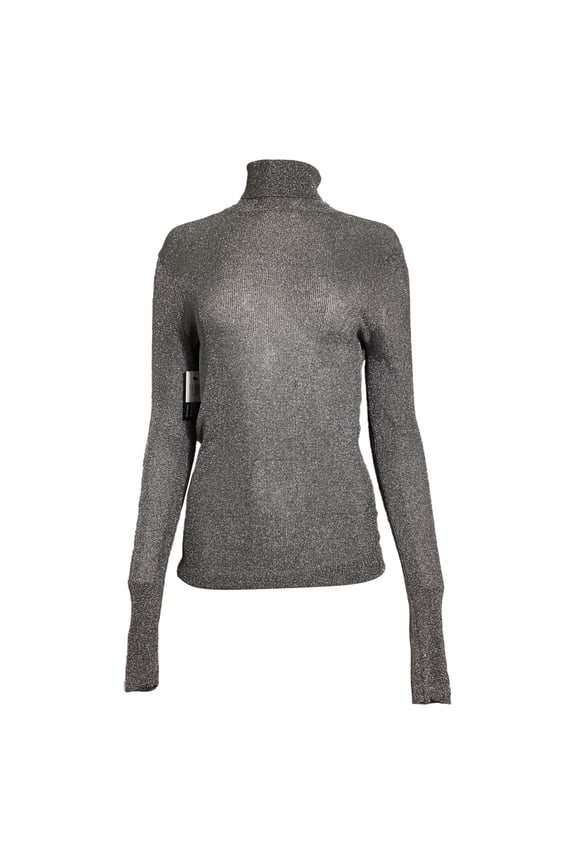Pre-Owned Isabel Marant Turtleneck Sweater in Metallic Silver Viscose