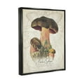 thumbnail image 3 of Stupell Industries Vintage German Nature Mushroom Botanical & Floral Painting Black Floater Framed Art Print Wall Art, 3 of 6